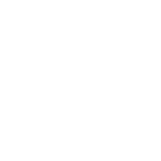Seawolf Technologies logo